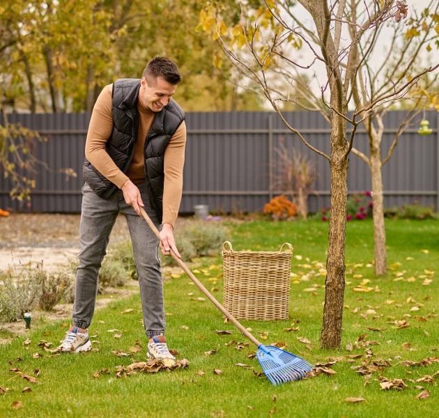 Joyful man shoveling leaves with garden tools<br />